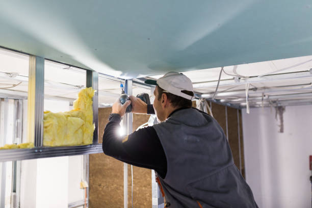 Best Residential Insulation in Oshkosh, WI